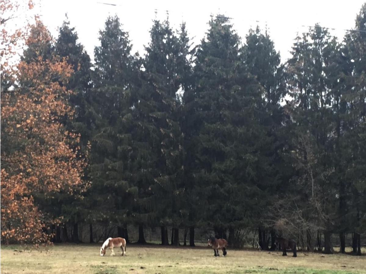 La Chenaie Villa Vresse-sur-Semois Buitenkant foto